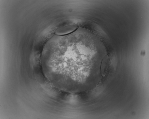 X0000114170276200910081530