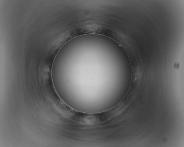 X0000114170279200910081530
