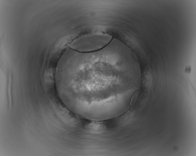 X0000114170280200910081530