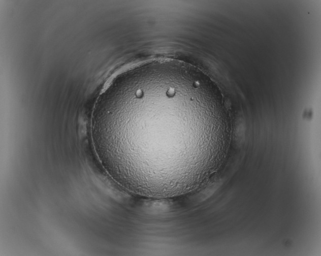 X0000114170282200910081530