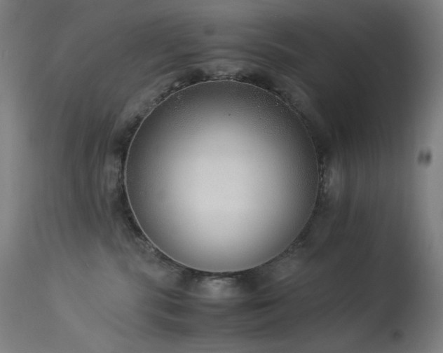 X0000114170283200910081530