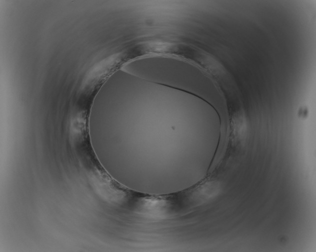 X0000114170284200910081530
