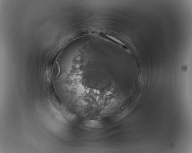 X0000114170285200910081530