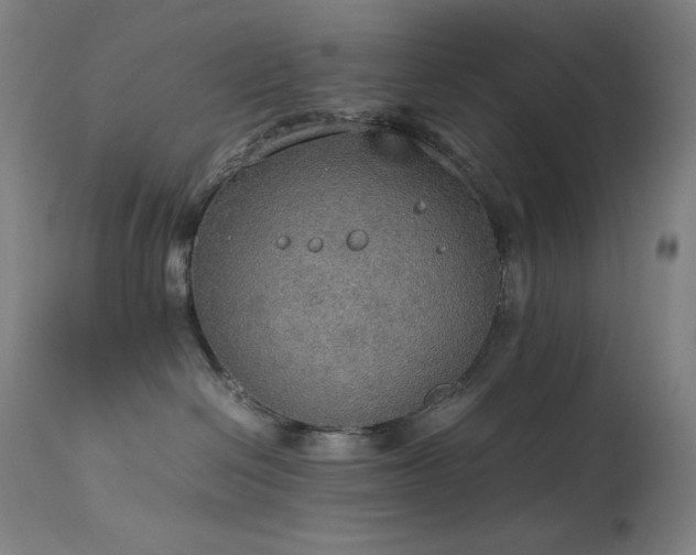 X0000114170286200910081530