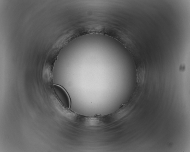X0000114170287200910081530