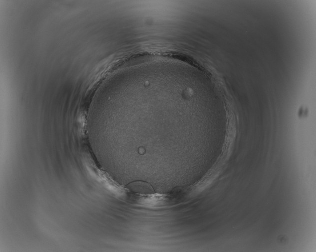 X0000114170288200910081530