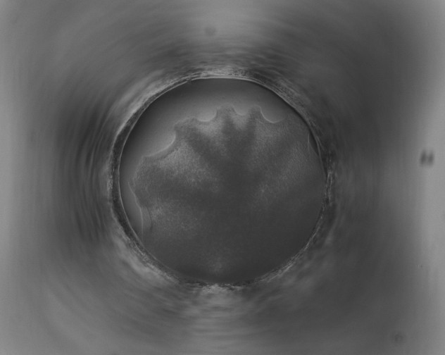 X0000114170290200910081529