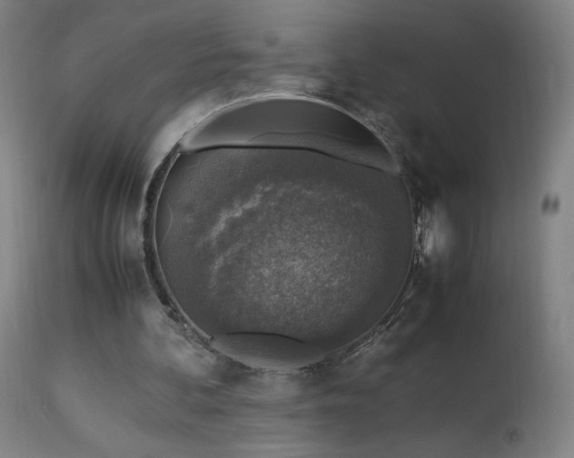 X0000114170292200910081529