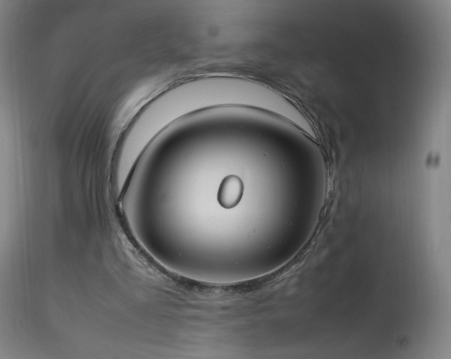 X0000114170293200910081529