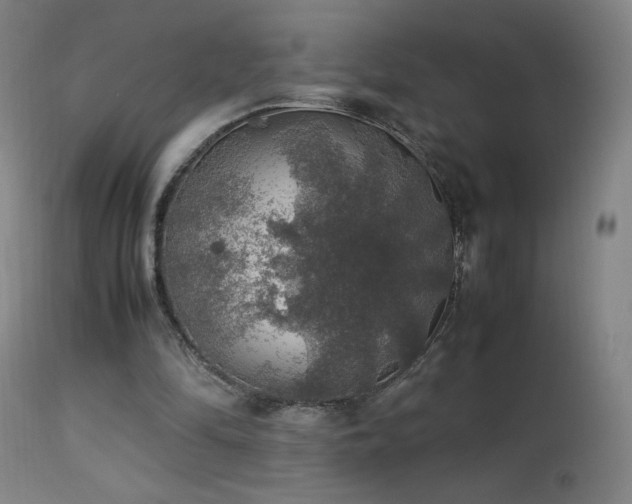 X0000114170294200910081529