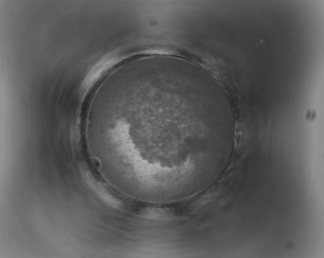 X0000114170296200910081529