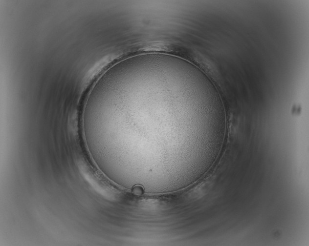 X0000114170298200910081529