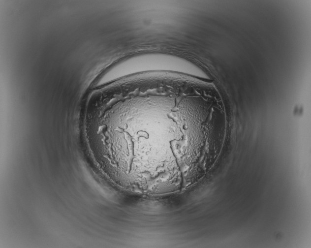 X0000114170299200910081529
