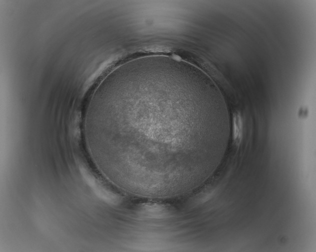 X0000114170300200910081529
