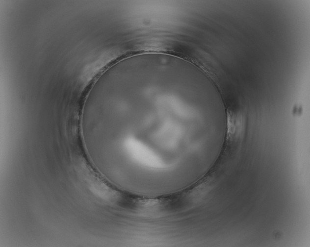 X0000114170301200910081529