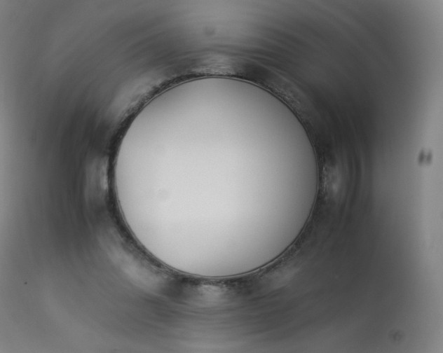 X0000114170302200910081529