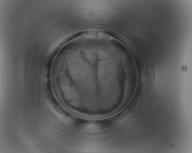 X0000114170303200910081529