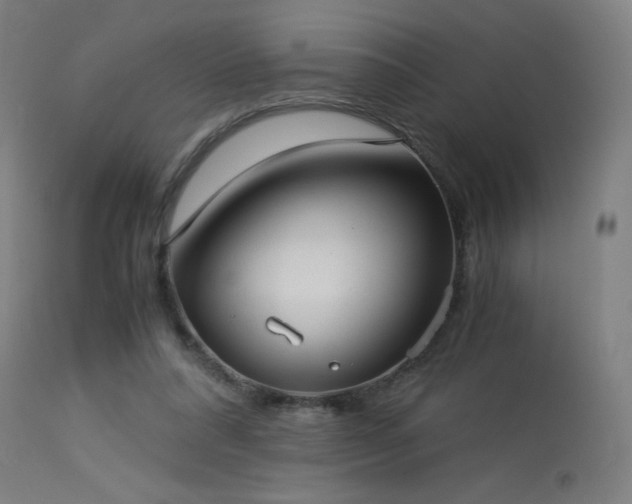 X0000114170304200910081529