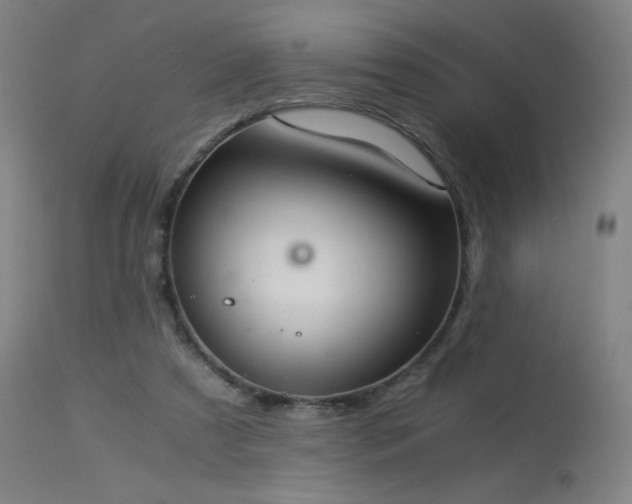 X0000114170305200910081529