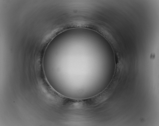 X0000114170306200910081529