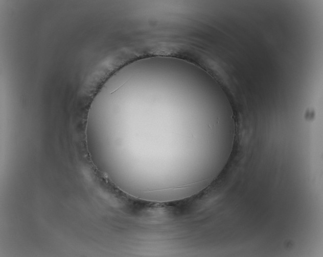 X0000114170307200910081529