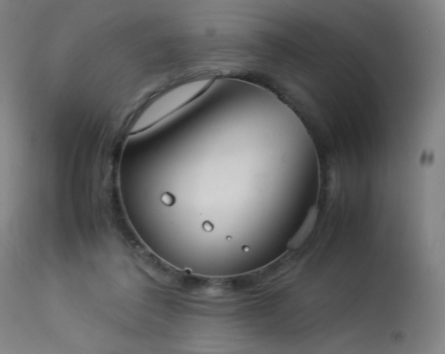 X0000114170308200910081529