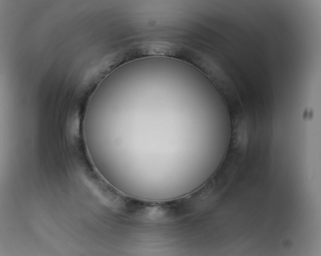 X0000114170310200910081529