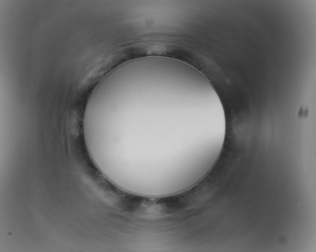 X0000114170311200910081529