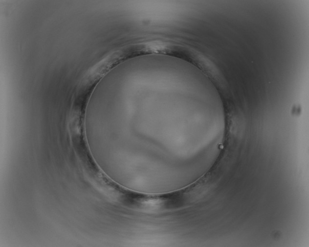 X0000114170313200910081528
