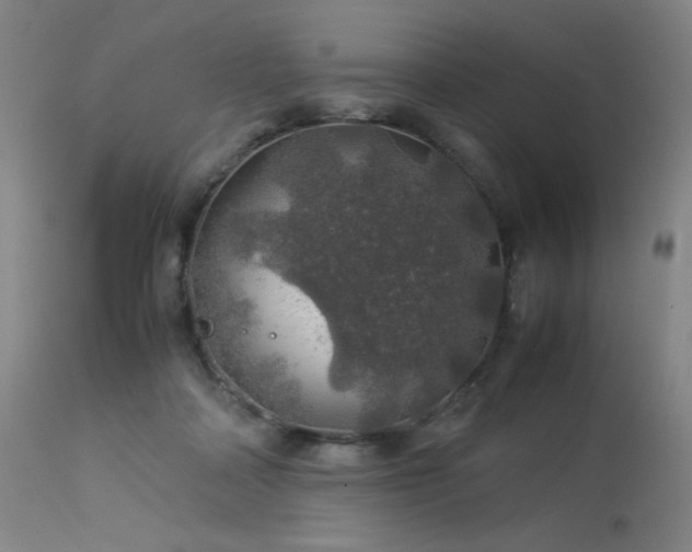 X0000114170314200910081528