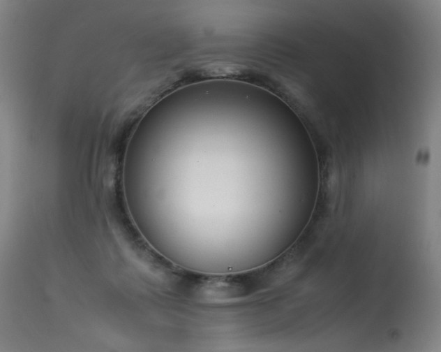 X0000114170315200910081528