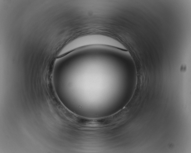 X0000114170316200910081528