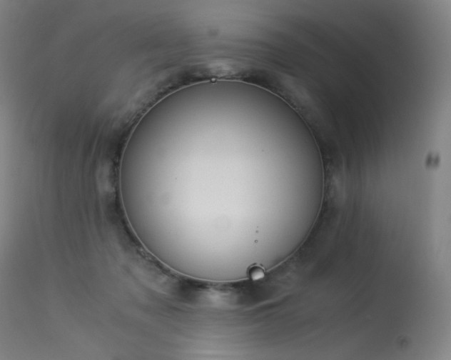 X0000114170317200910081528