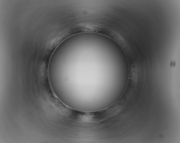 X0000114170318200910081528