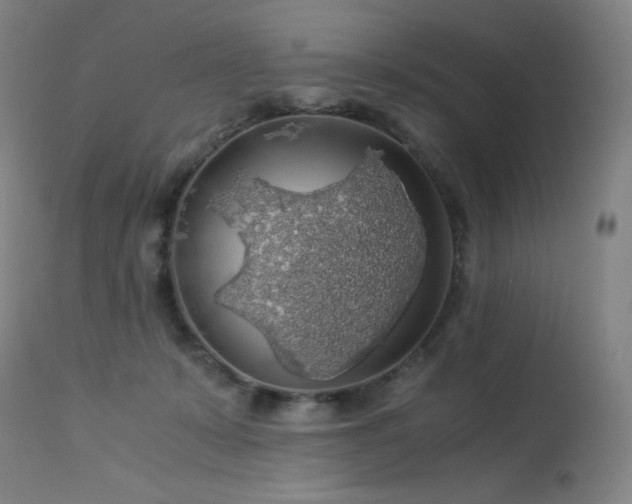 X0000114170319200910081528