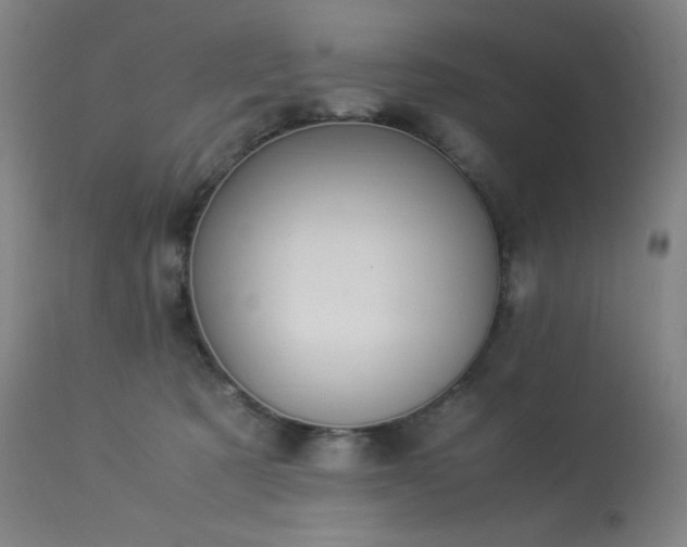 X0000114170321200910081528
