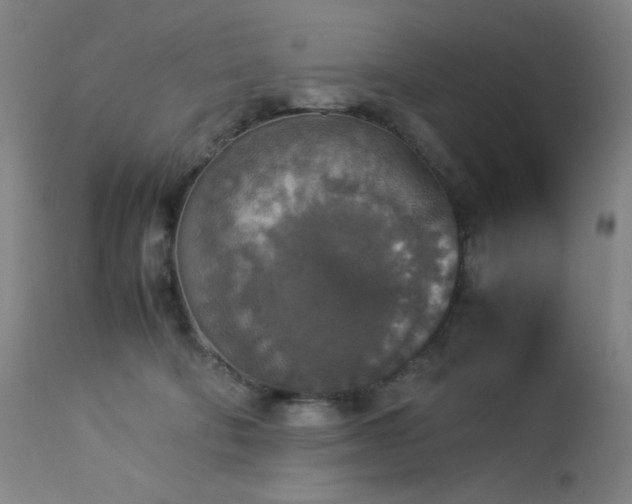 X0000114170322200910081528