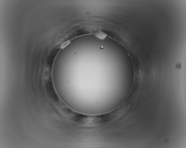 X0000114170323200910081528