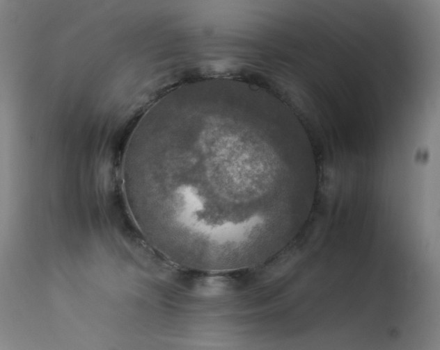 X0000114170324200910081528