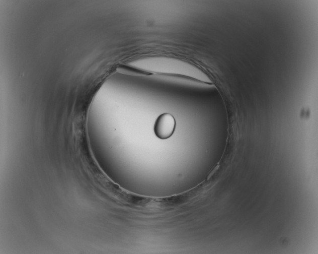 X0000114170325200910081528