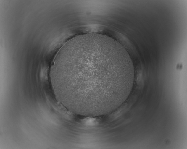 X0000114170326200910081528