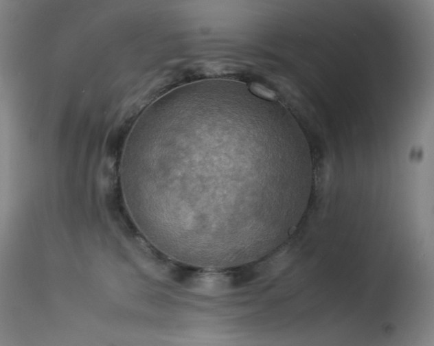 X0000114170327200910081528