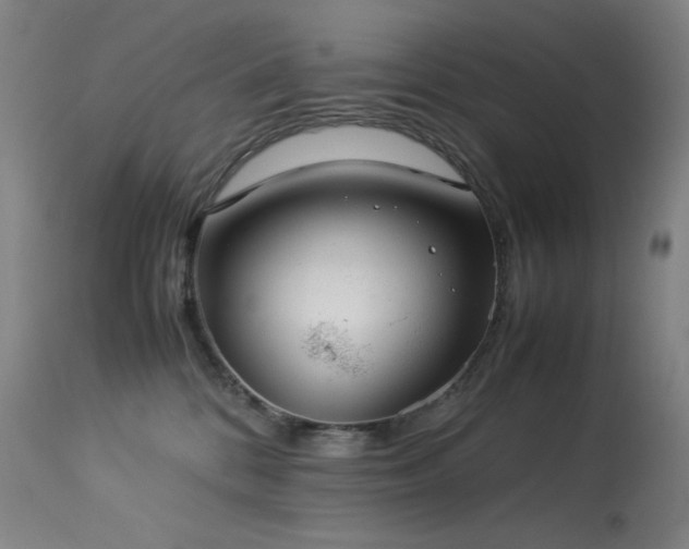 X0000114170328200910081528