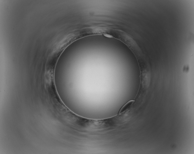 X0000114170329200910081528
