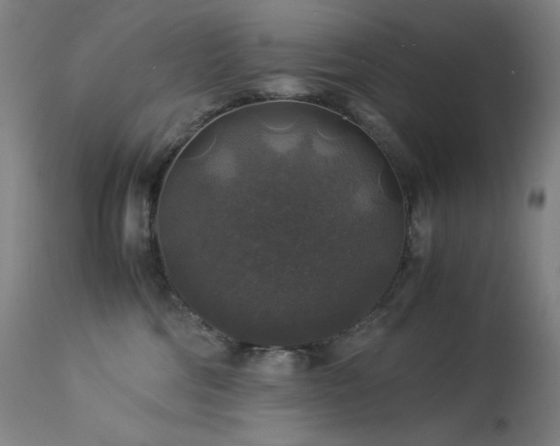 X0000114170330200910081528
