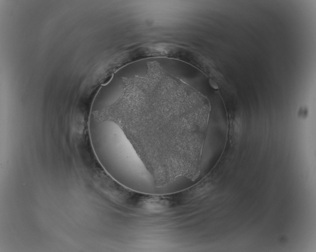 X0000114170331200910081528