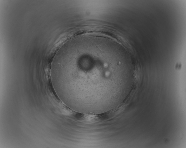 X0000114170333200910081528