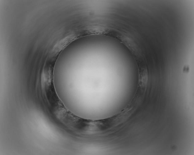 X0000114170334200910081528