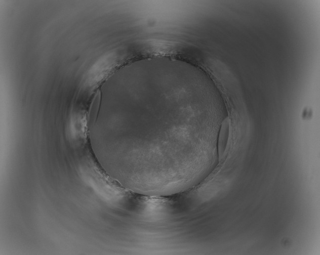 X0000114170336200910081528
