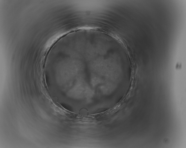 X0000114170337200910081527